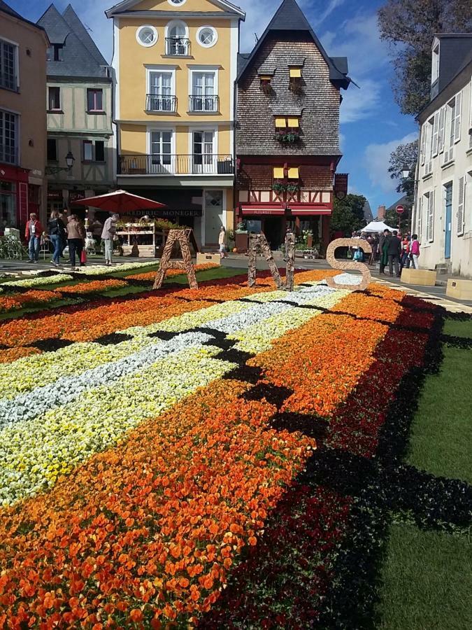 Les Tulipiers, Parking Securise, Lit Queen-Size, Le Port Du Mans Ле-Ман Экстерьер фото